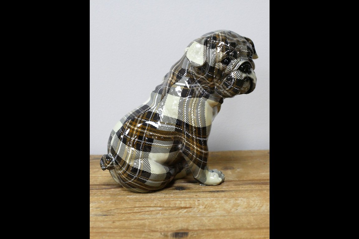Tartan Dog