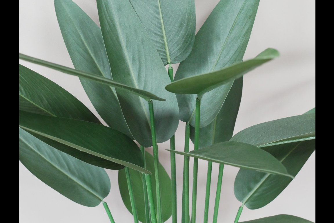 Artificial Canna