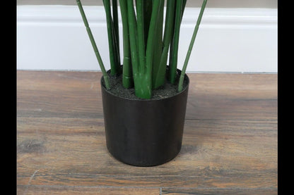 Artificial Canna
