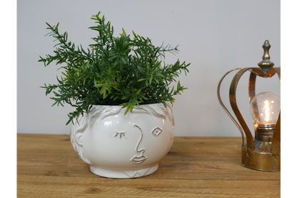 Face Vase