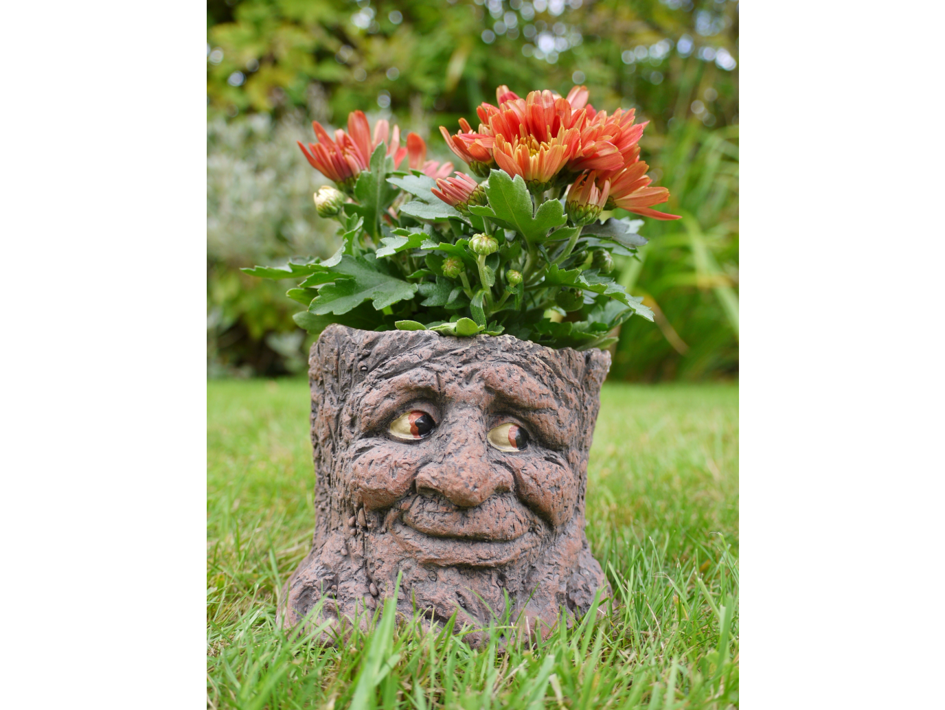 Tree Stump Planter