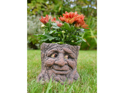 Tree Stump Planter