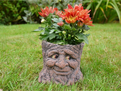 Tree Stump Planter