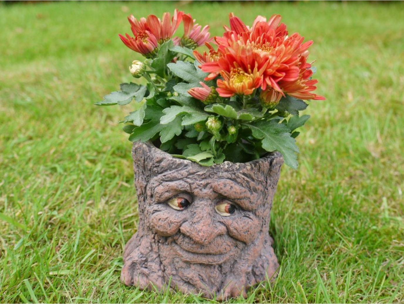 Tree Stump Planter