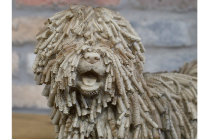 Shaggy Dog