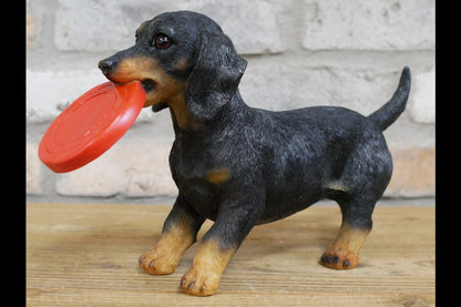 Dog Carrying Frisbee