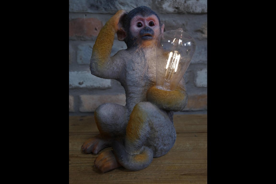 Monkey Light