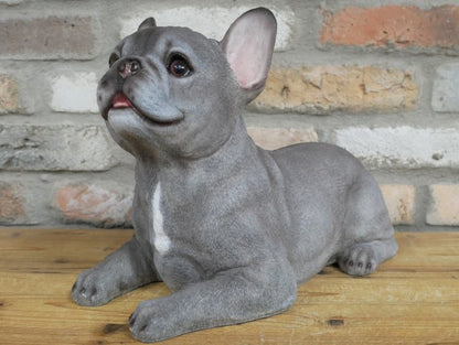 Laying Dog (Frenchie)