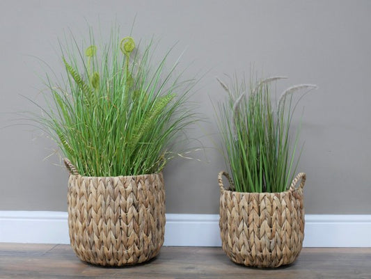 Set Of Two Baskets / Planters