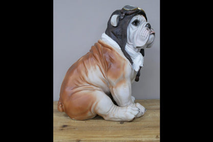 Large Pilot Dog
