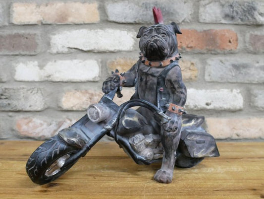 Bulldog On Motorbike