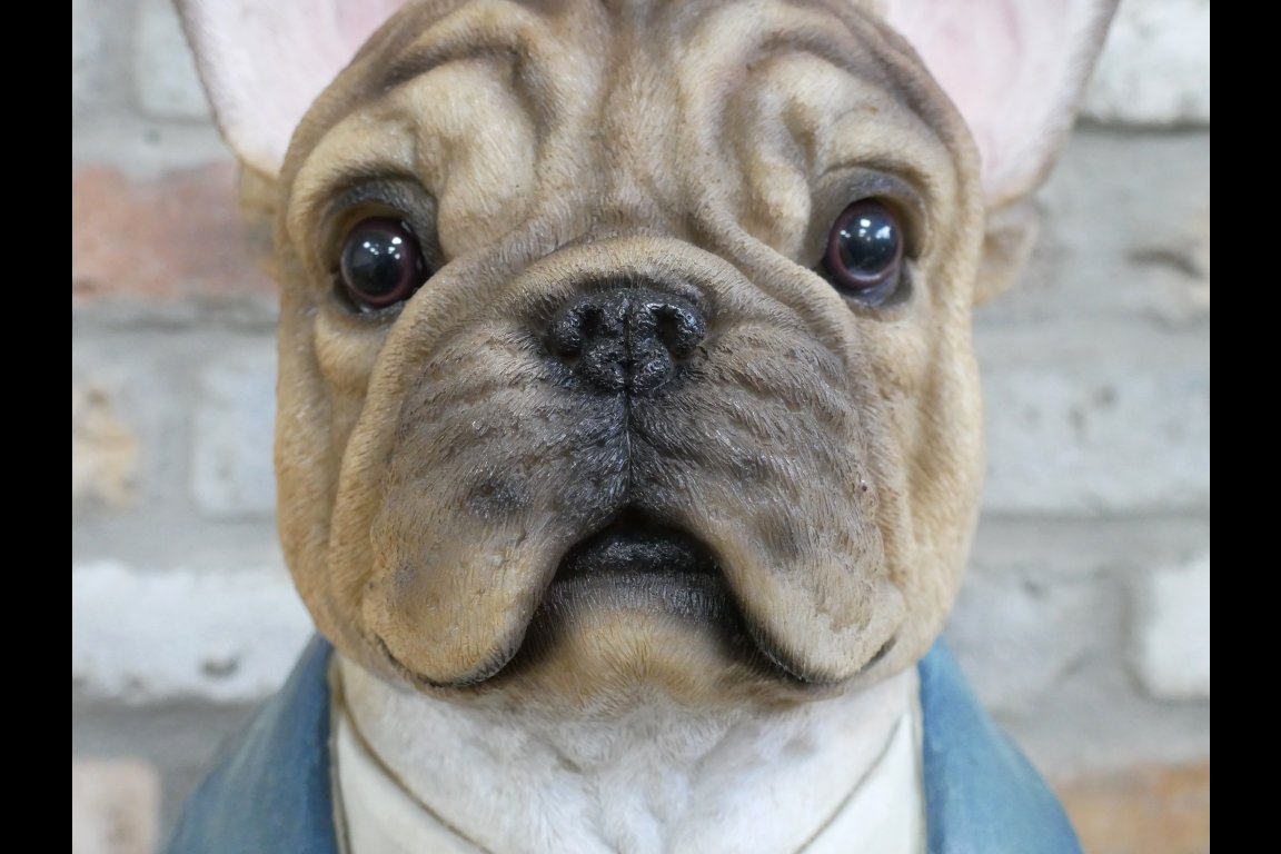 Large Frenchie Dog Bust