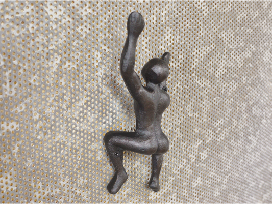 Coat Hook