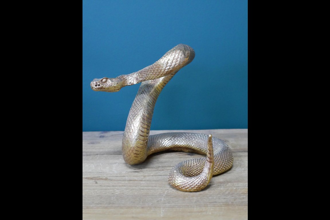Snake