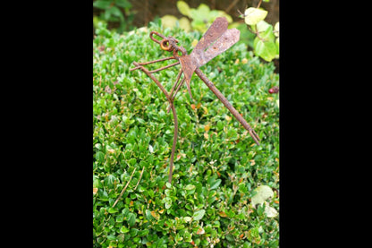 Rusty Dragonfly Stake