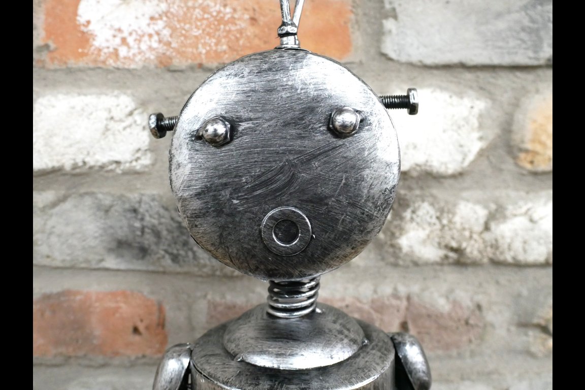 Robot