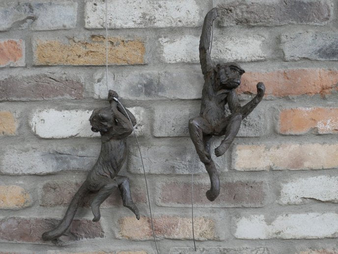 Hanging Monkeys
