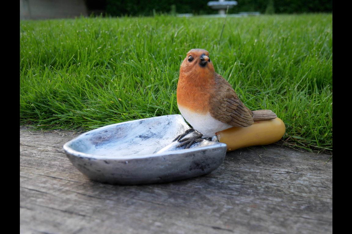 Bird Feeder
