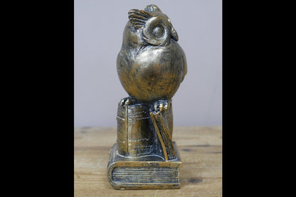 Owl Stood On Books