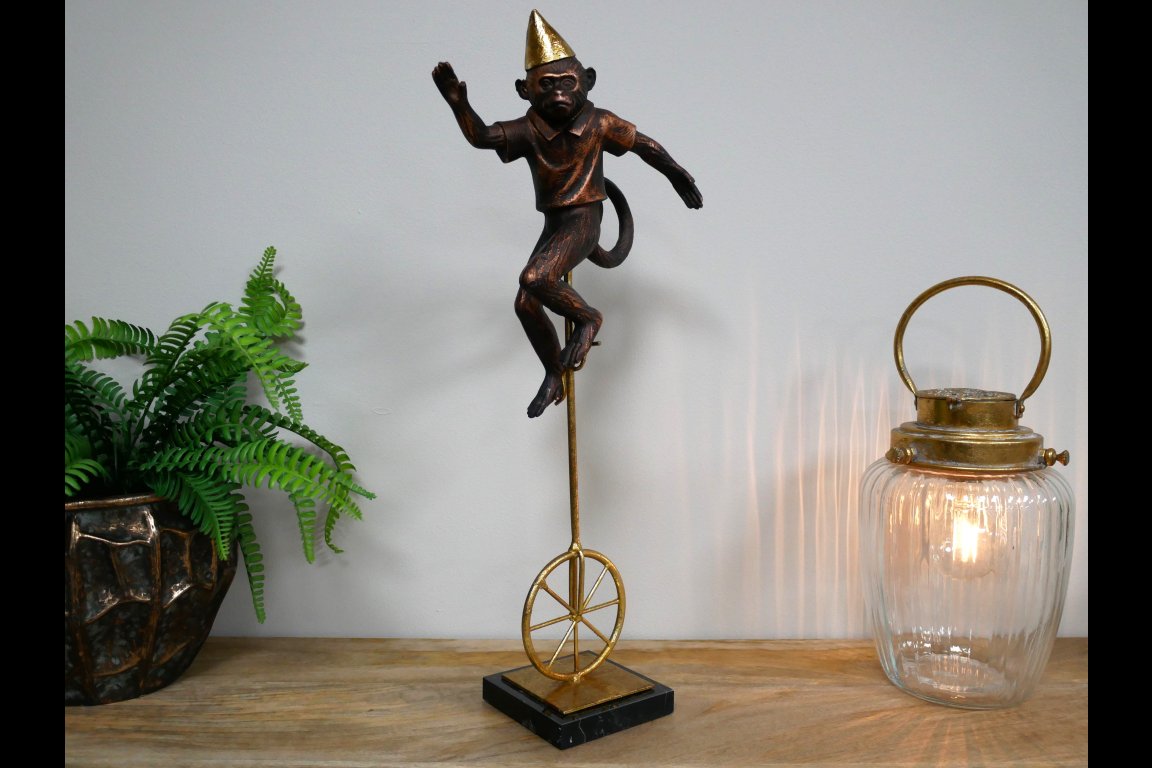 Monkey On Unicycle
