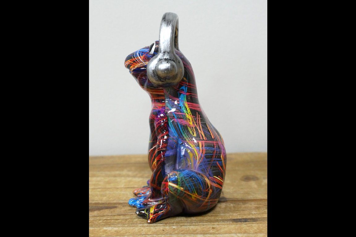 Multi Colour Frog