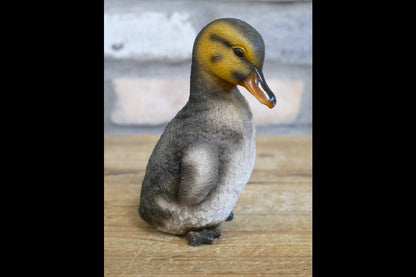 Set Of 3 Ducks