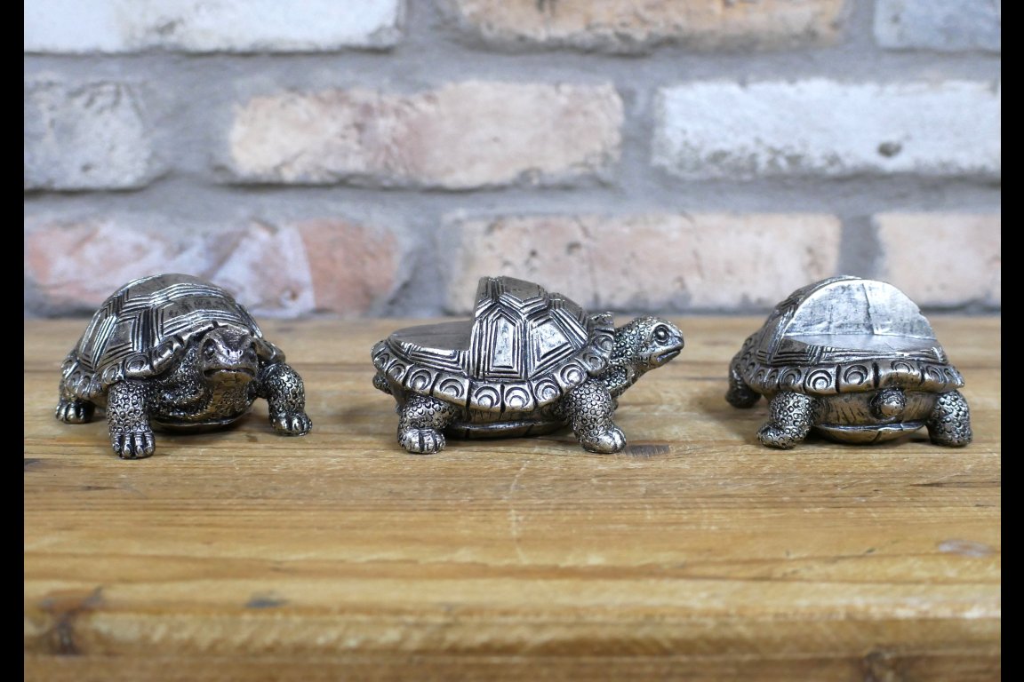 Tortoise Pot Stands (Set of 3)