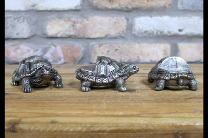Tortoise Pot Stands (Set of 3)