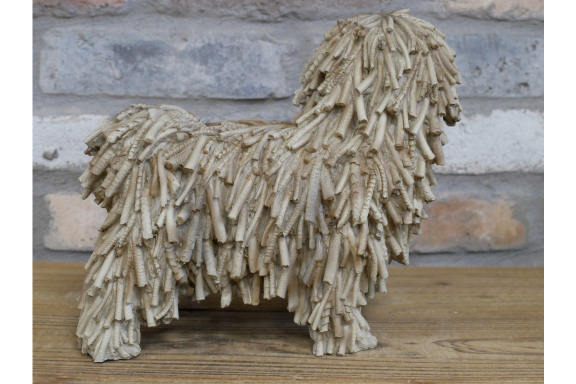 Shaggy Dog