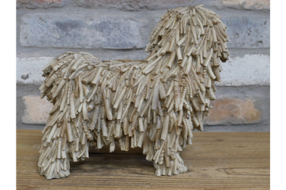 Shaggy Dog