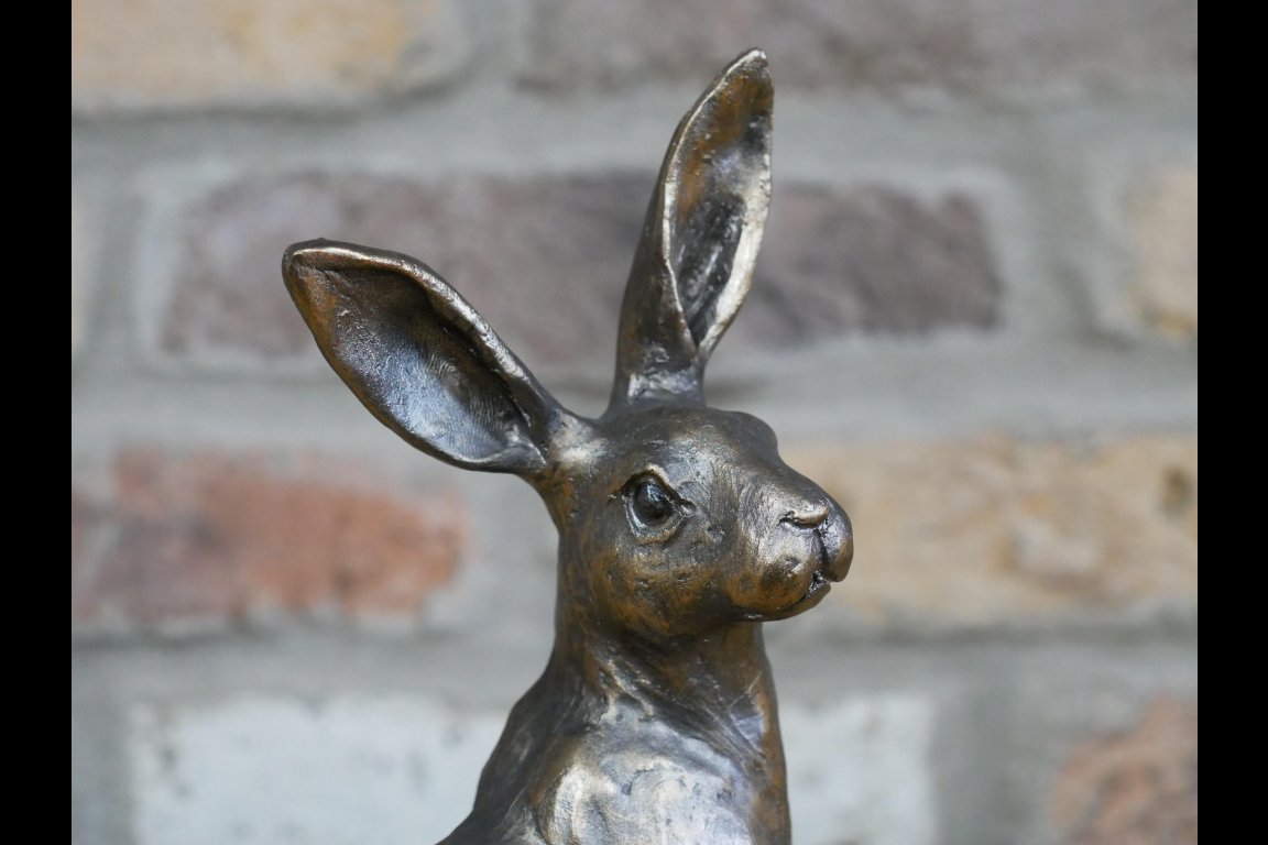 Hare
