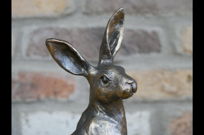 Hare