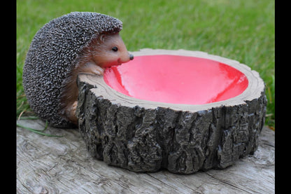 Hedgehog Feeder