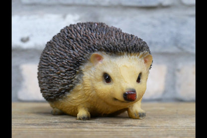 Hedgehog