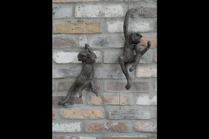Hanging Monkeys