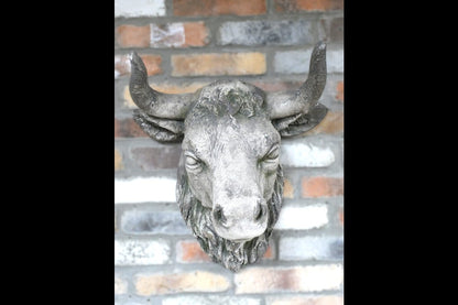 Cow Head