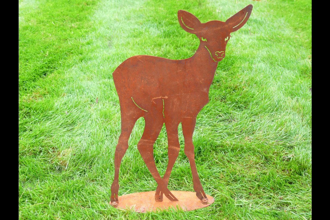 Small Rusty  Deer