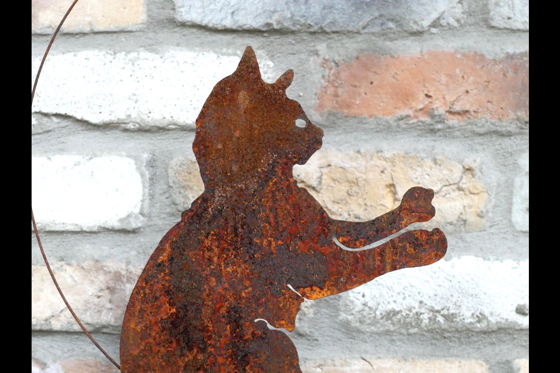 Cat & Dragonfly