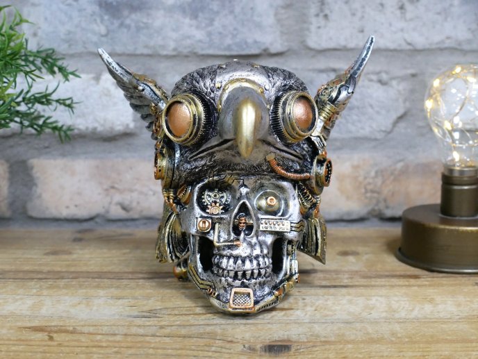 Bird On Skull