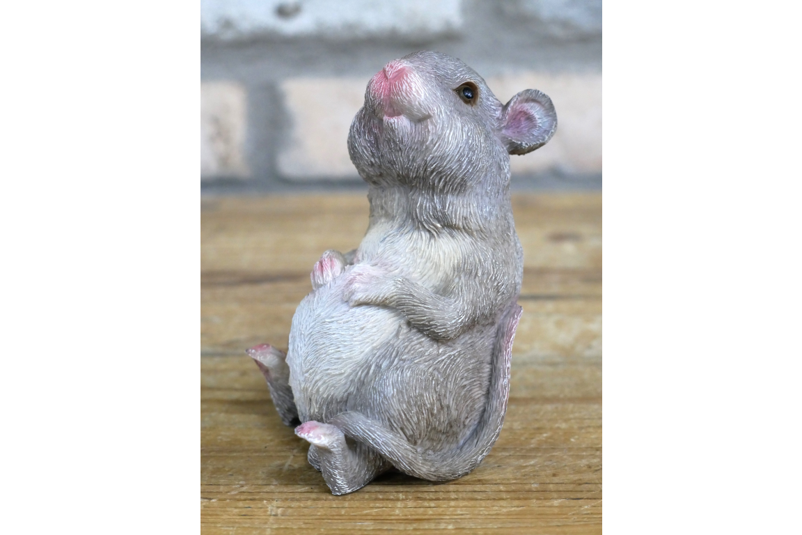 Fat Mouse