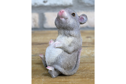 Fat Mouse