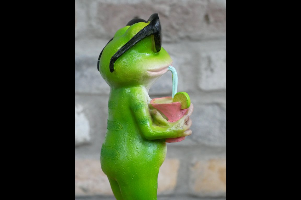 Drinking Frog