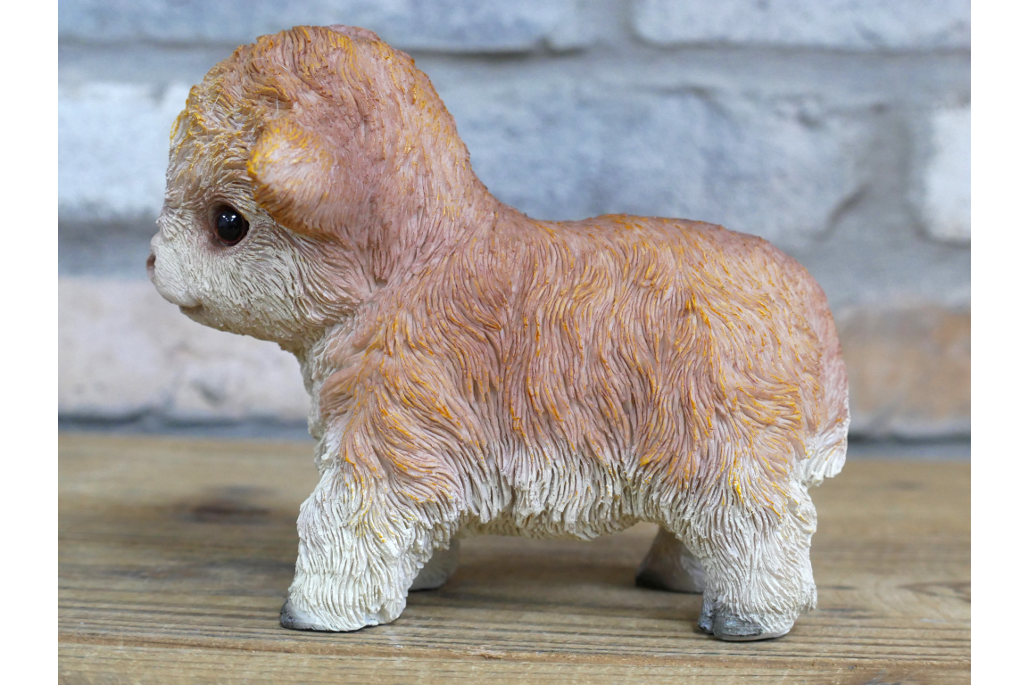 Tiny Baby Cow