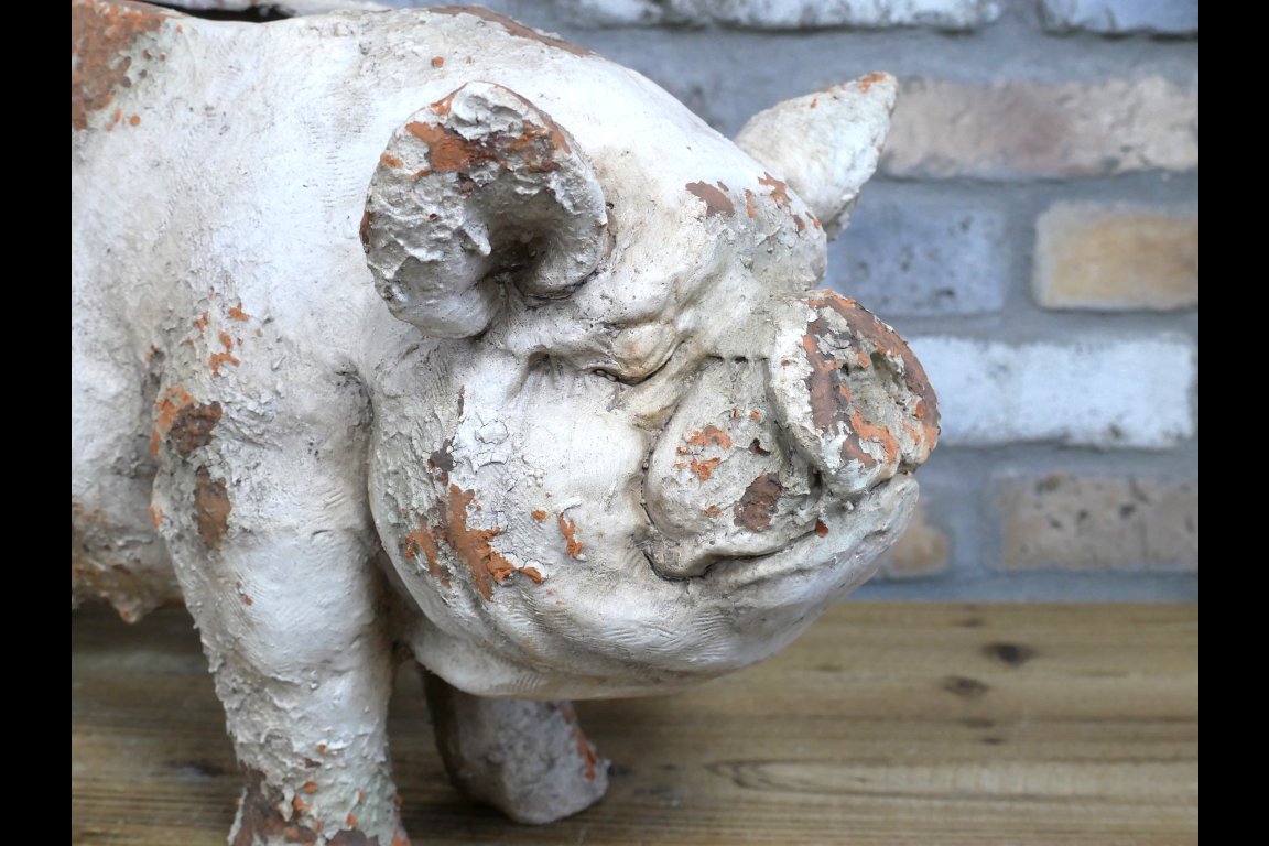 Pig Planter