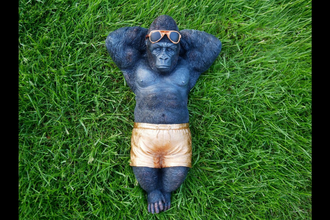 Chilling Gorilla