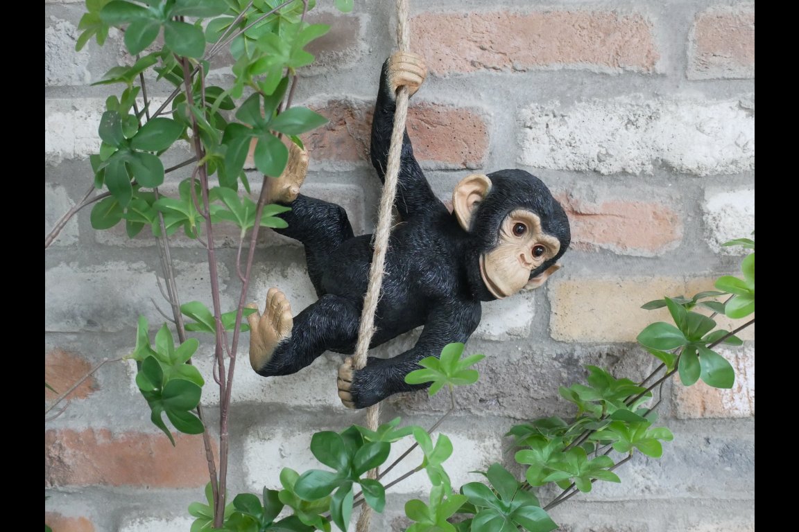 Swinging Monkey