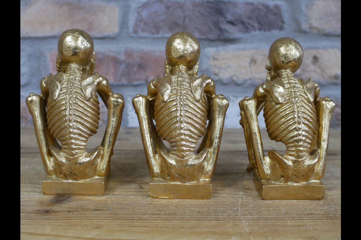 Set Of 3 Skeletons