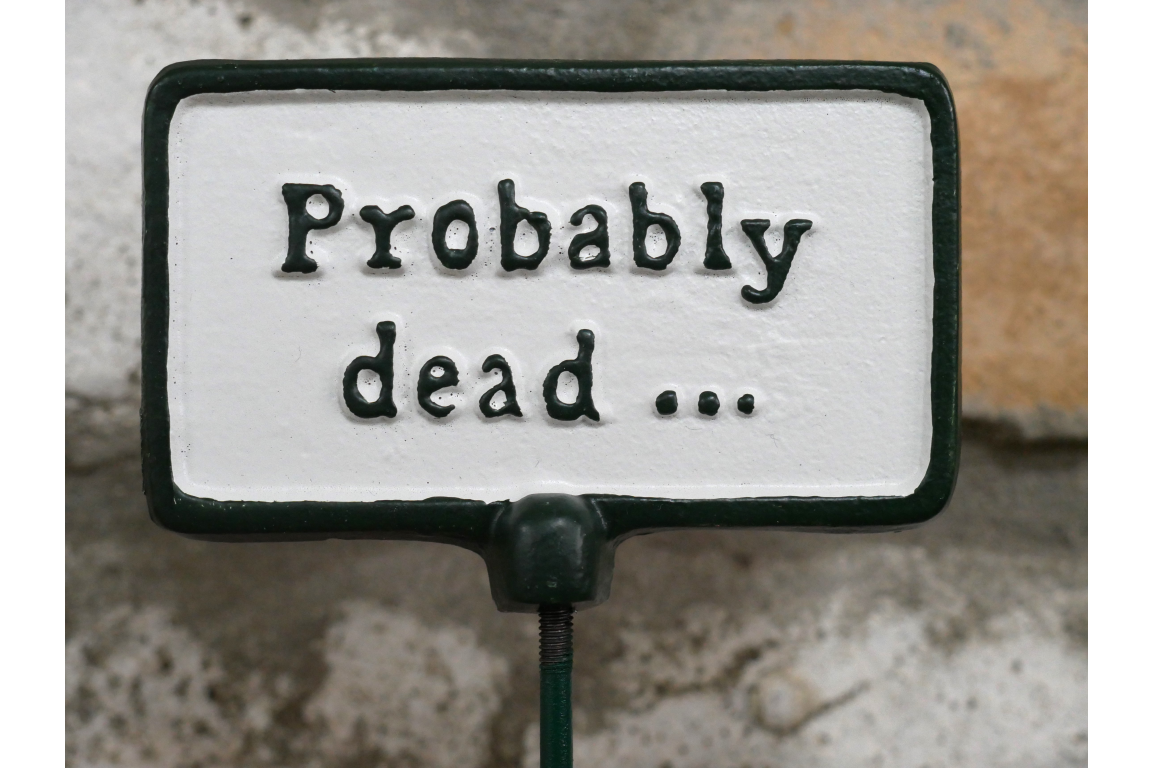 Plant Sign - Probably Dead