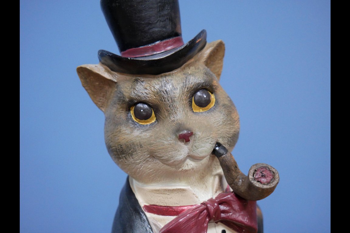 Gentleman Cat