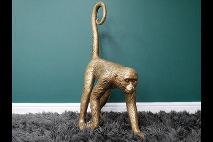Monkey